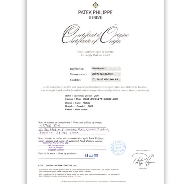 Patek Philippe Tourbillon 5101P-010 platinum 30mm Manual watch